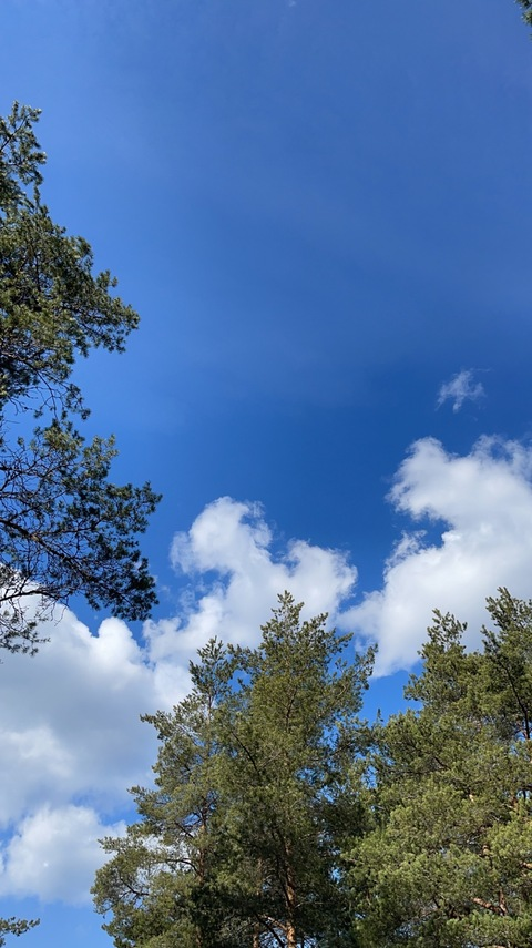 Header of lummax
