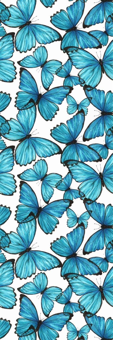 Header of onlykim