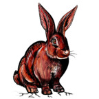 Download redrabbit6969 OnlyFans leaks for free 

 profile picture