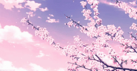 Header of urinternetstepsister